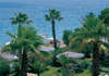 Paloma Beach 